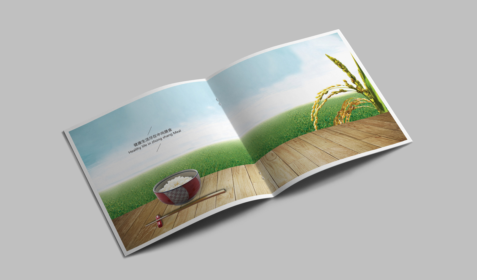 中尚膳畫食冊設(shè)計(jì)