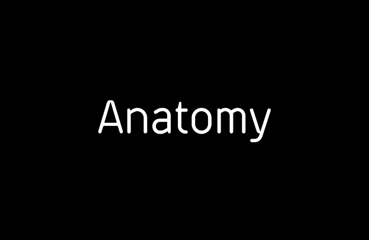 【Anatomy】精品健身房視覺品牌VI設(shè)計